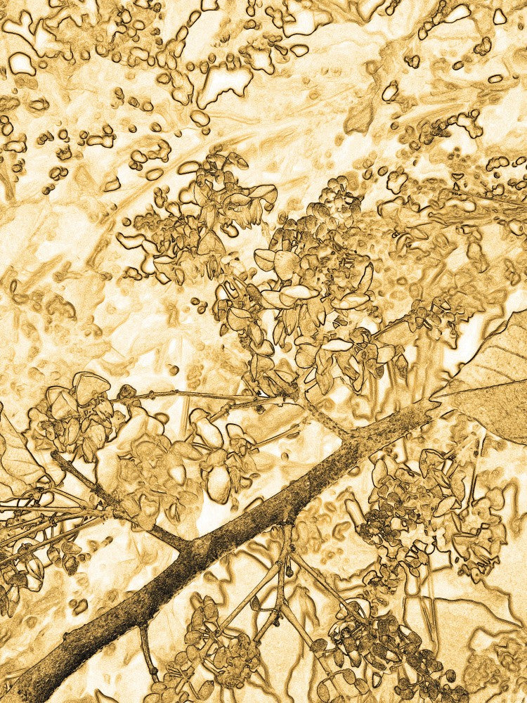 Golden Floralscape