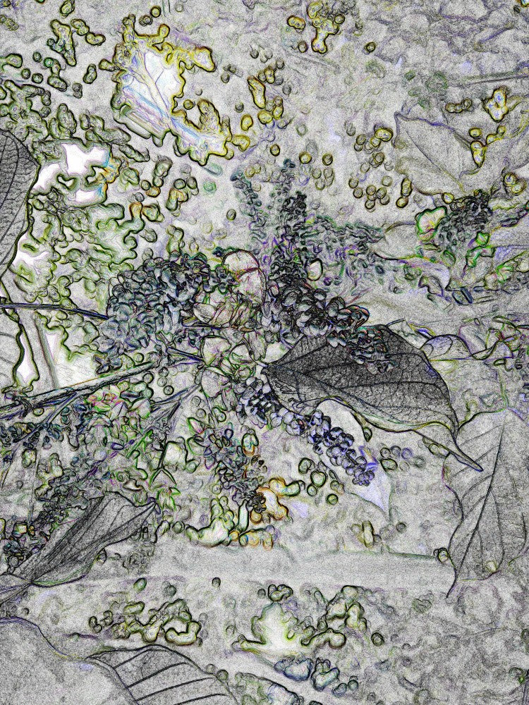 Ethereal Flora