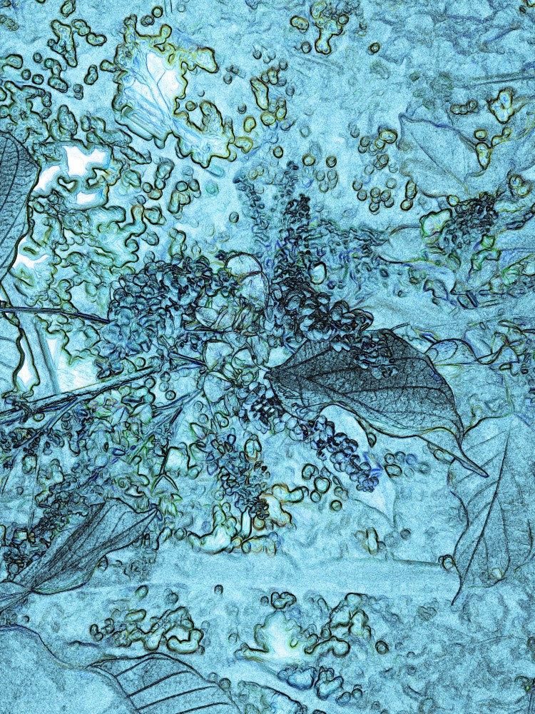 Frosted Foliage Dream