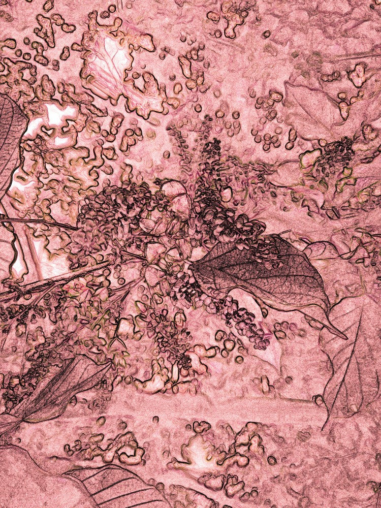 Ethereal Blooms