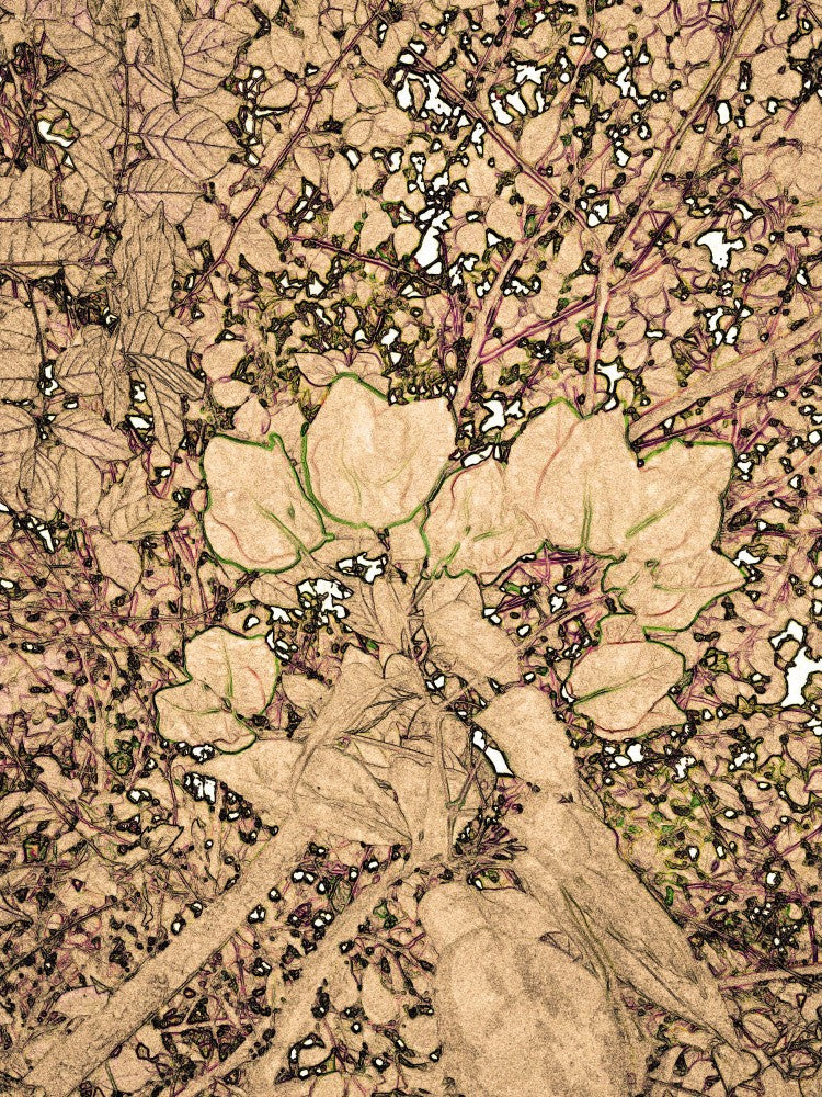 Whispering Leaves