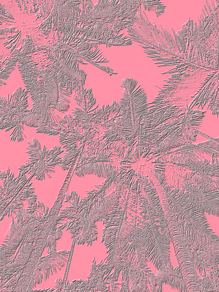 Palm Dreamscape