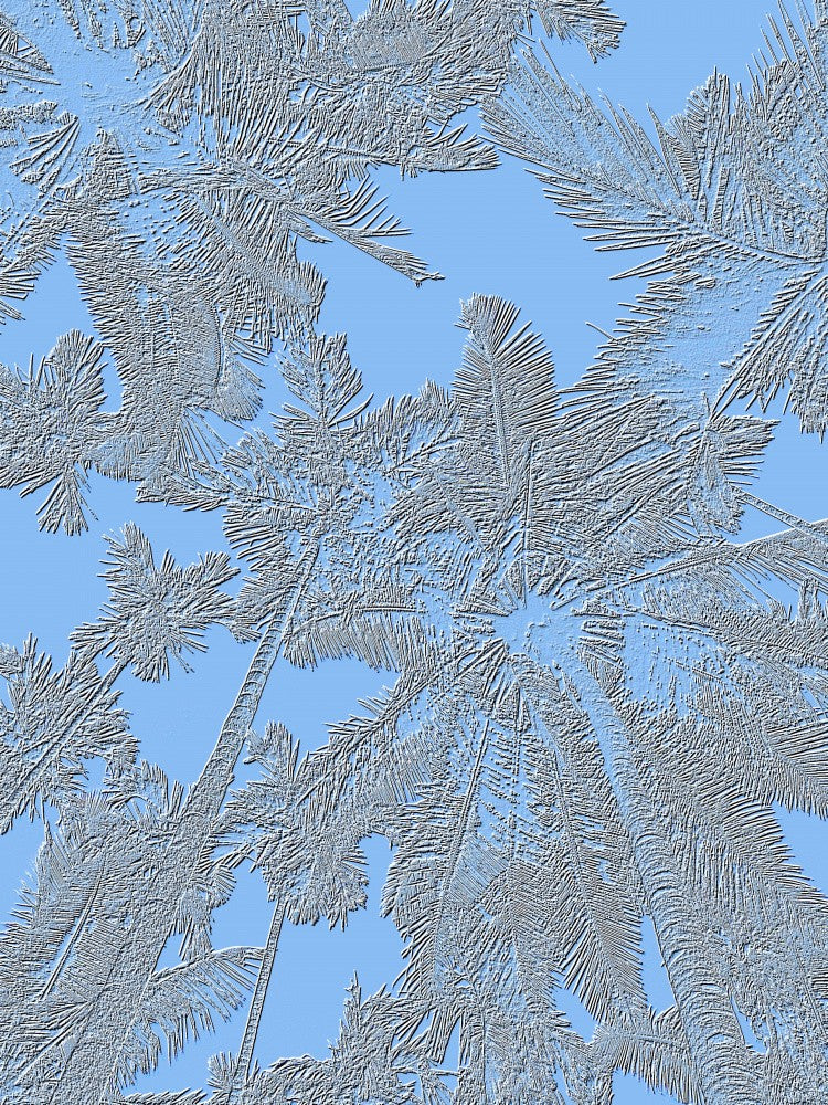 Frozen Palmscape