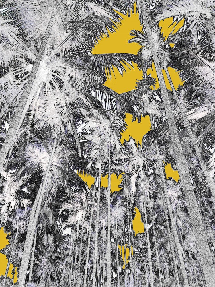 Golden Canopy
