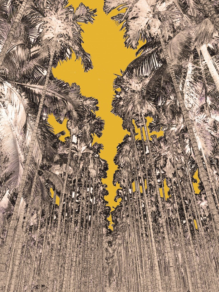 Golden Palm Canopy