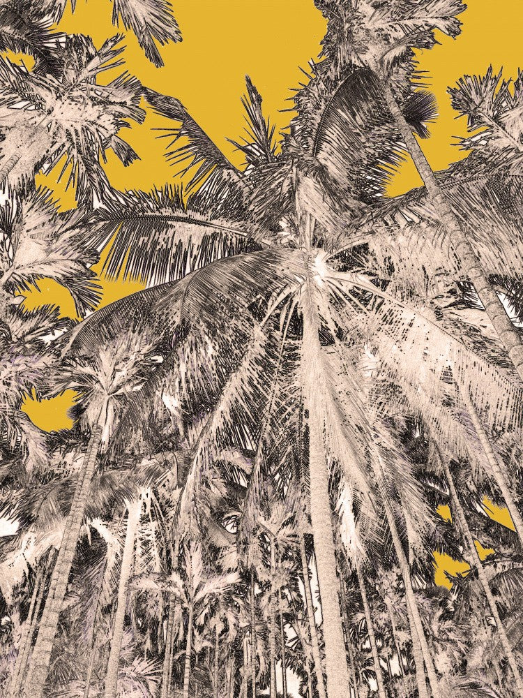 Tropical Canopy