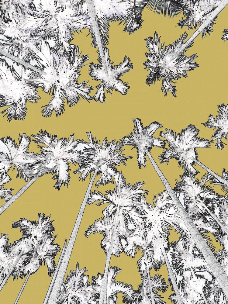 Skyward Palms