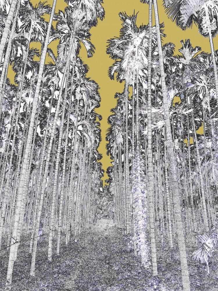 Golden Palm Avenue