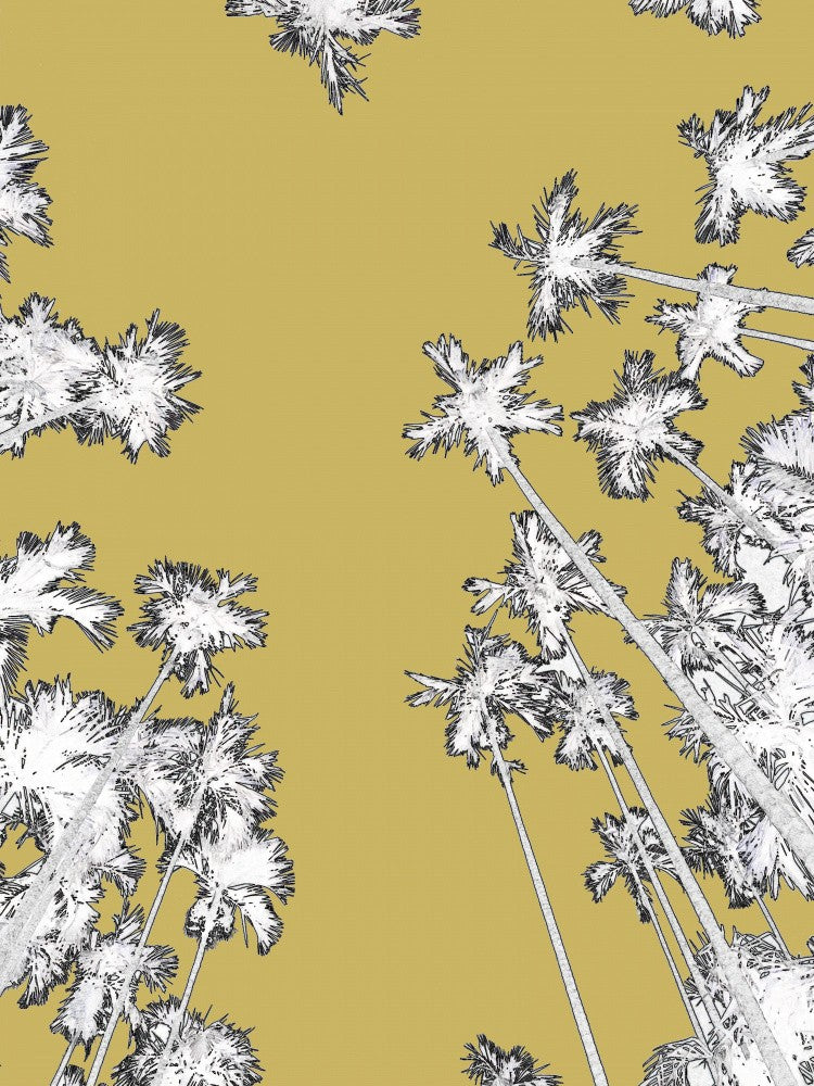 Golden Palm Dreams