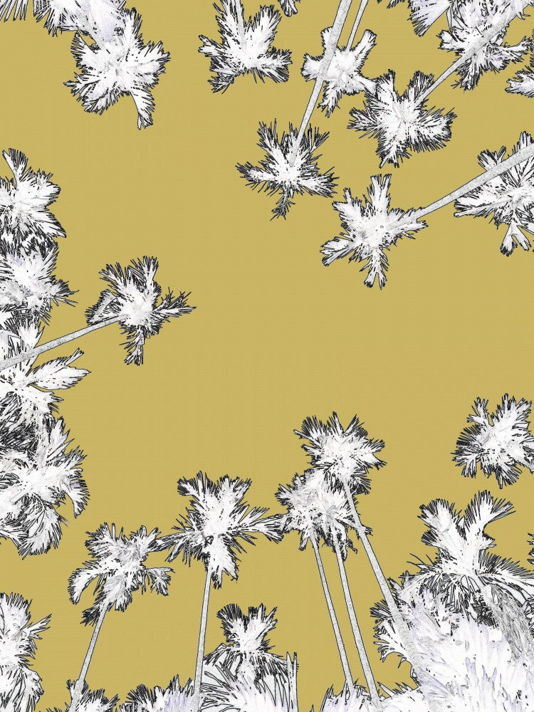 Golden Palm Dreams