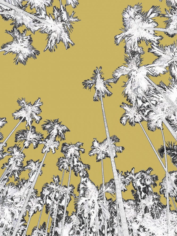 Golden Palm Skies