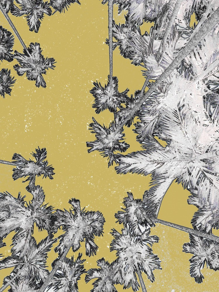 Palm Oasis Skyward