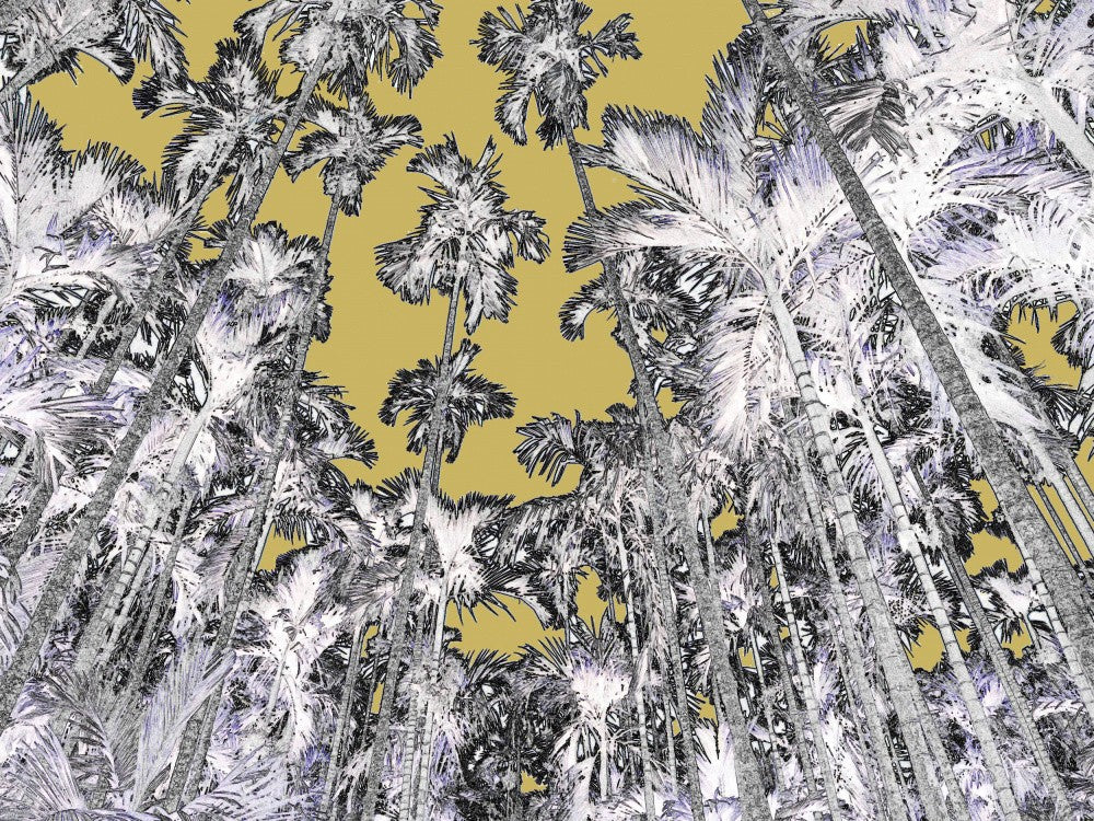 Golden Jungle Canopy