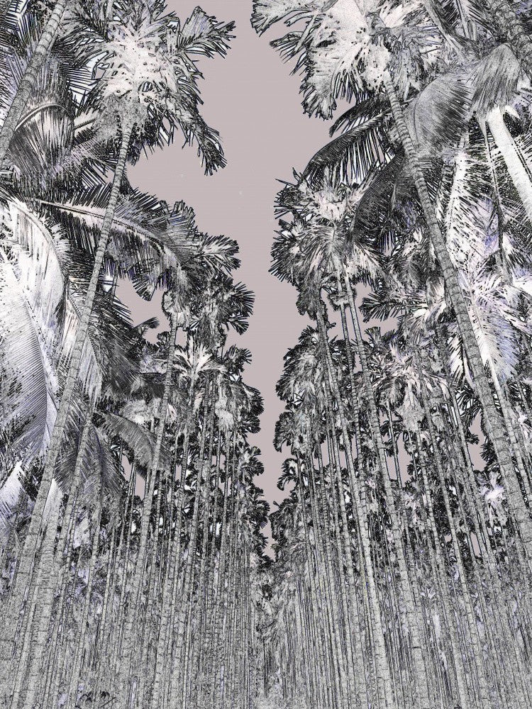 Monochrome Palmscape