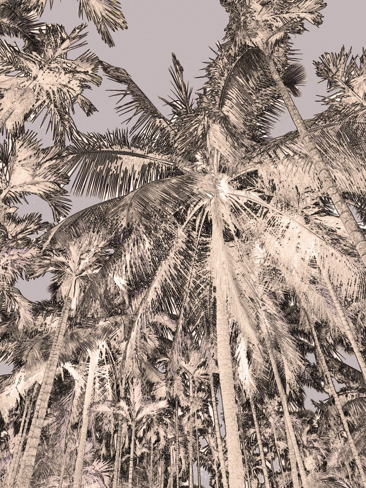 Palms in Sepia Sky