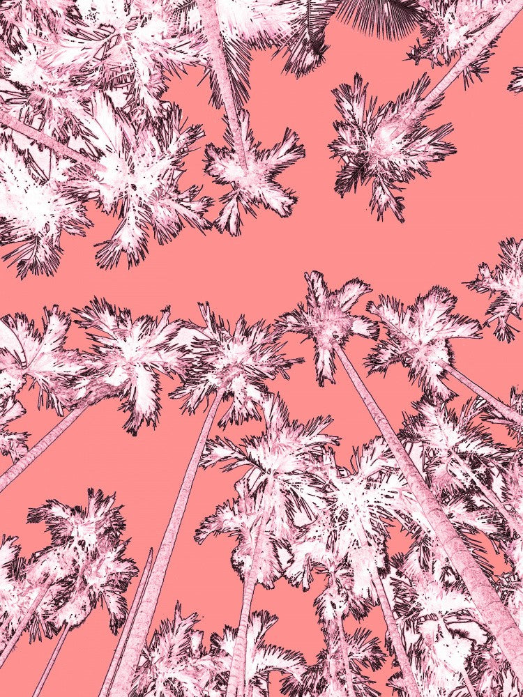Pink Canopy Dream