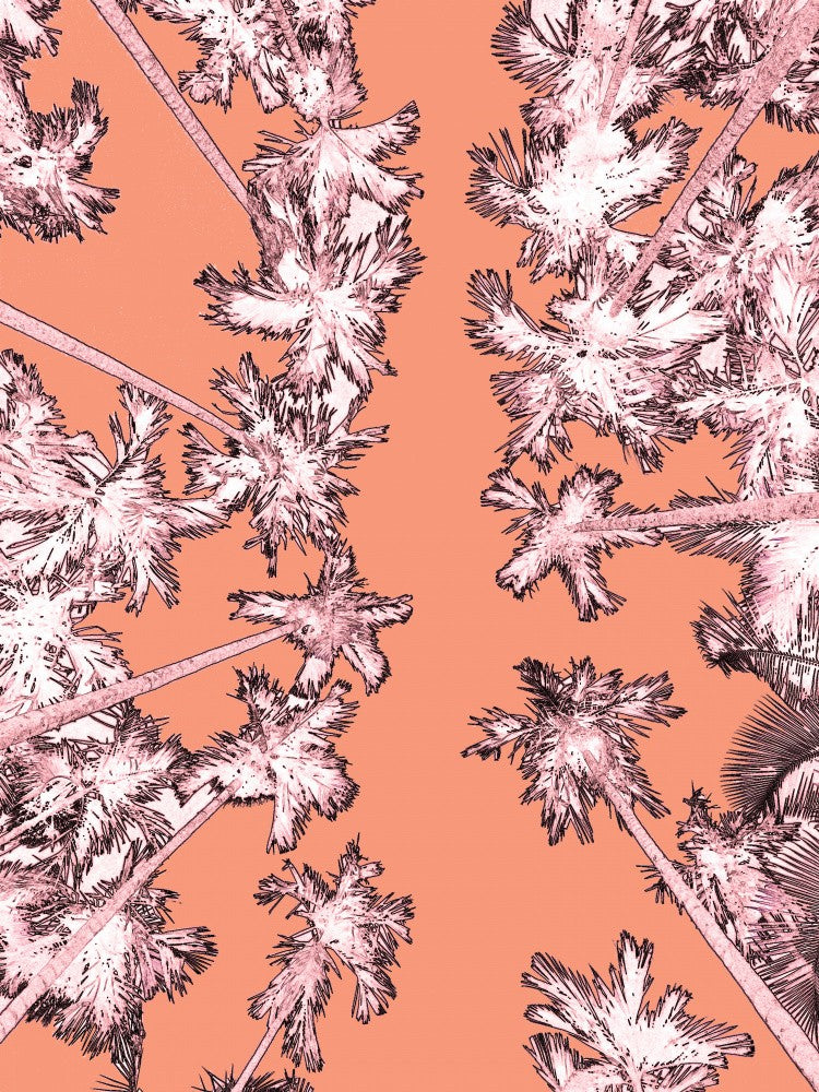 Palms Against Coral