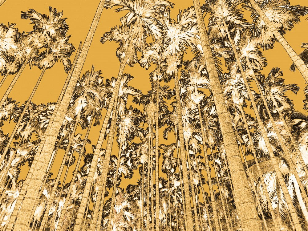 Golden Grove Skies
