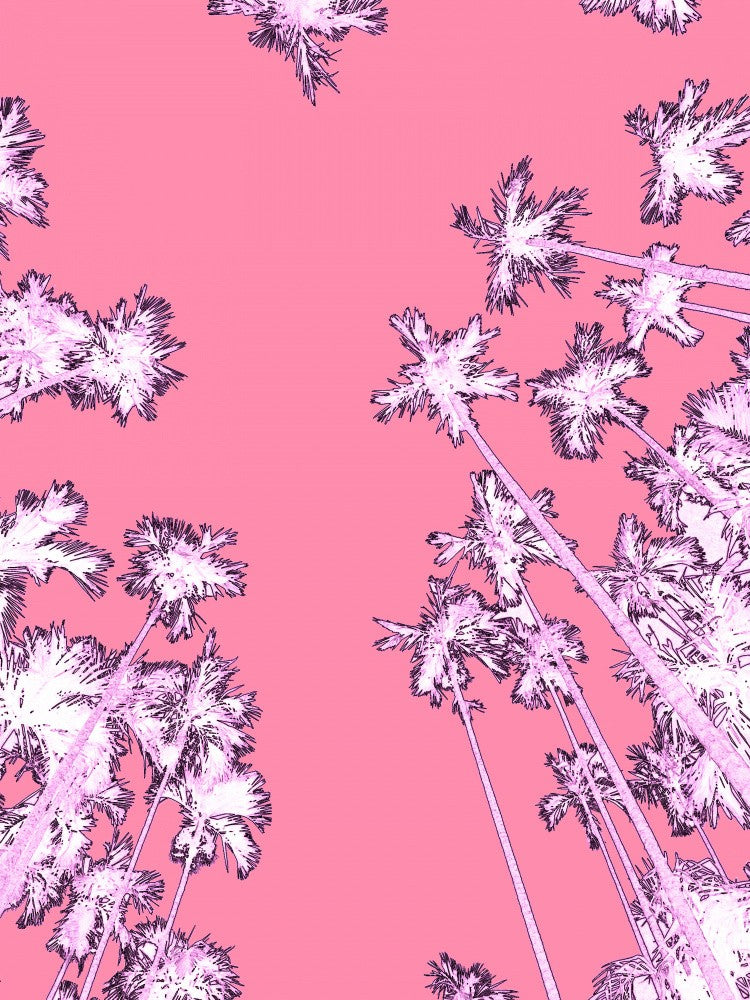 Palmenhimmel-Wonne