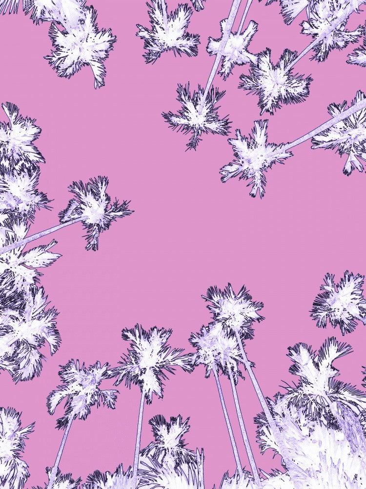 Palmen am rosa Himmel