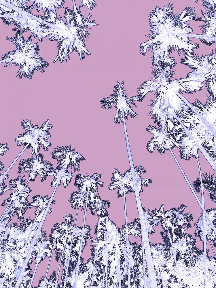 Lavender Palmscape