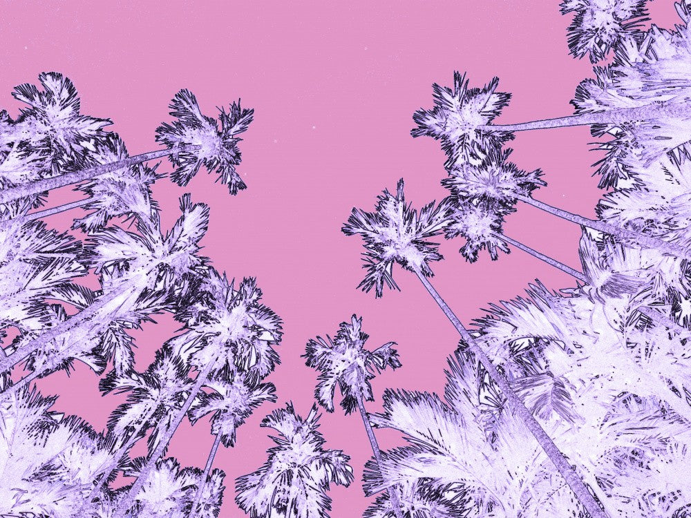 Psychedelic Palms