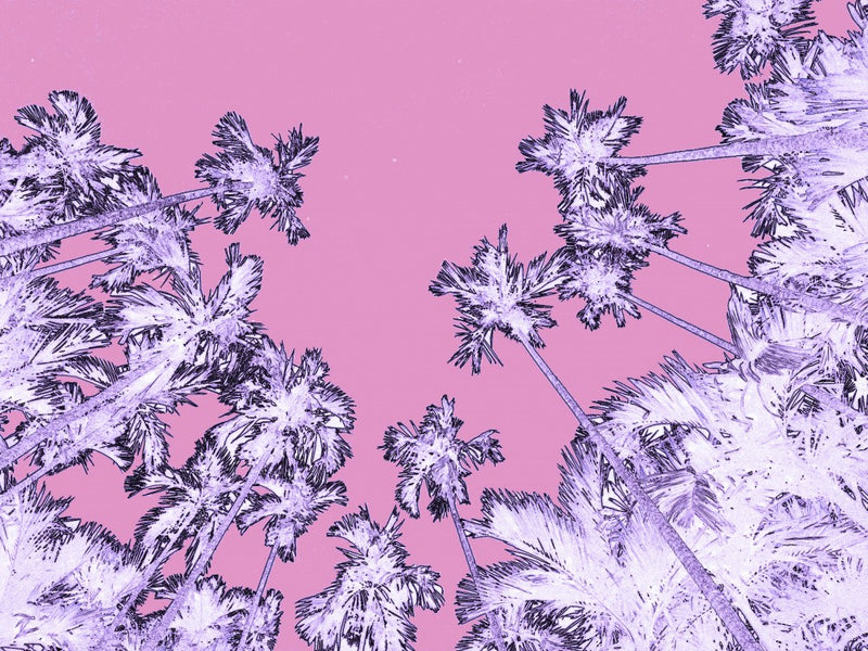 Psychedelic Palms