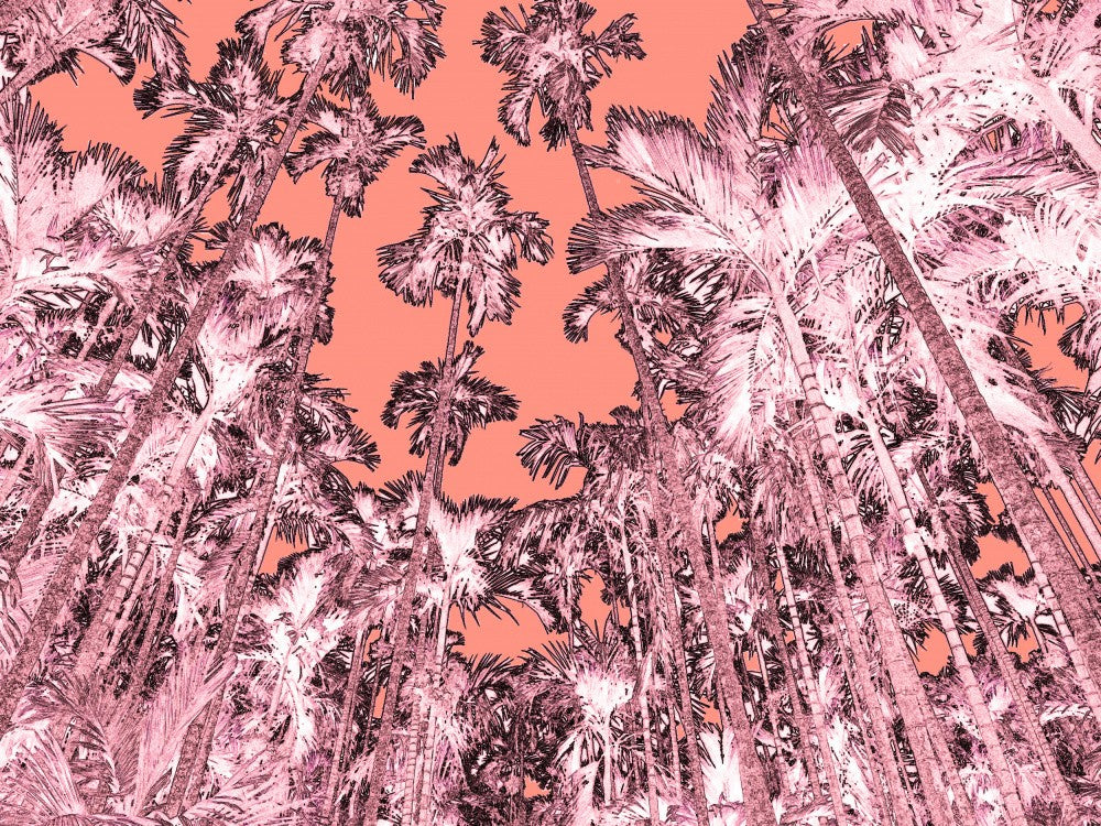 Paysage Tropical Onirique