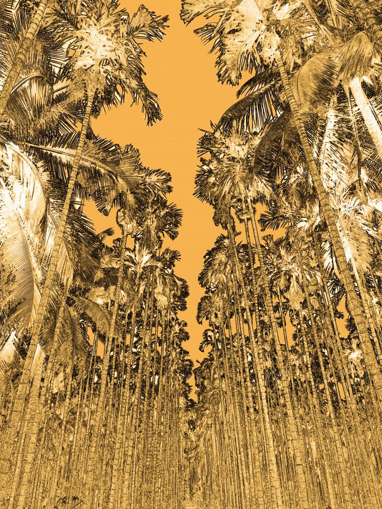 Golden Palm Pathway