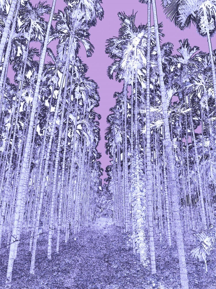 Violetter Palmenhain