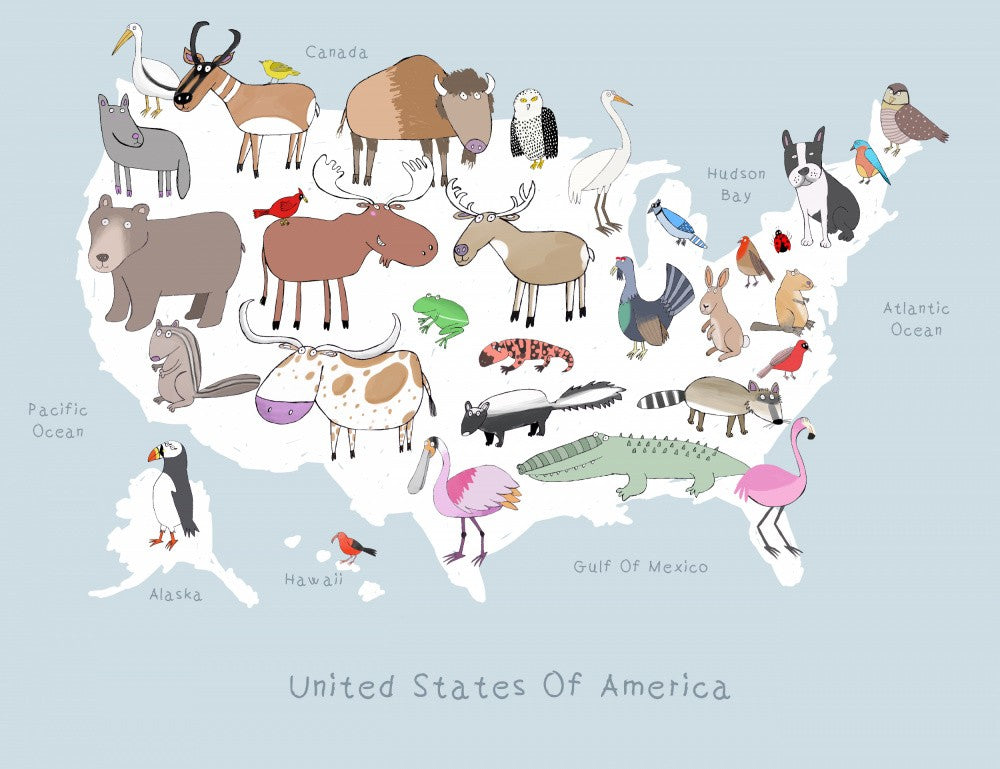 United States States of America Light Grey &amp; White by Carla Daly