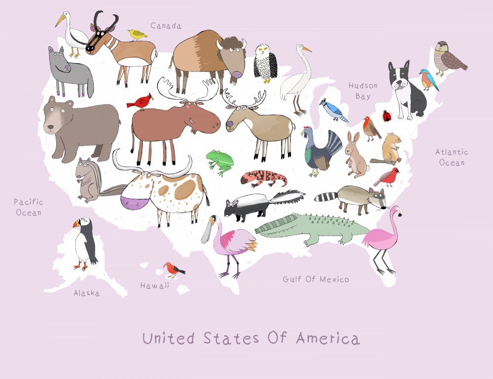 United States of Ameica Pink &amp; White by Artist Carla Daly