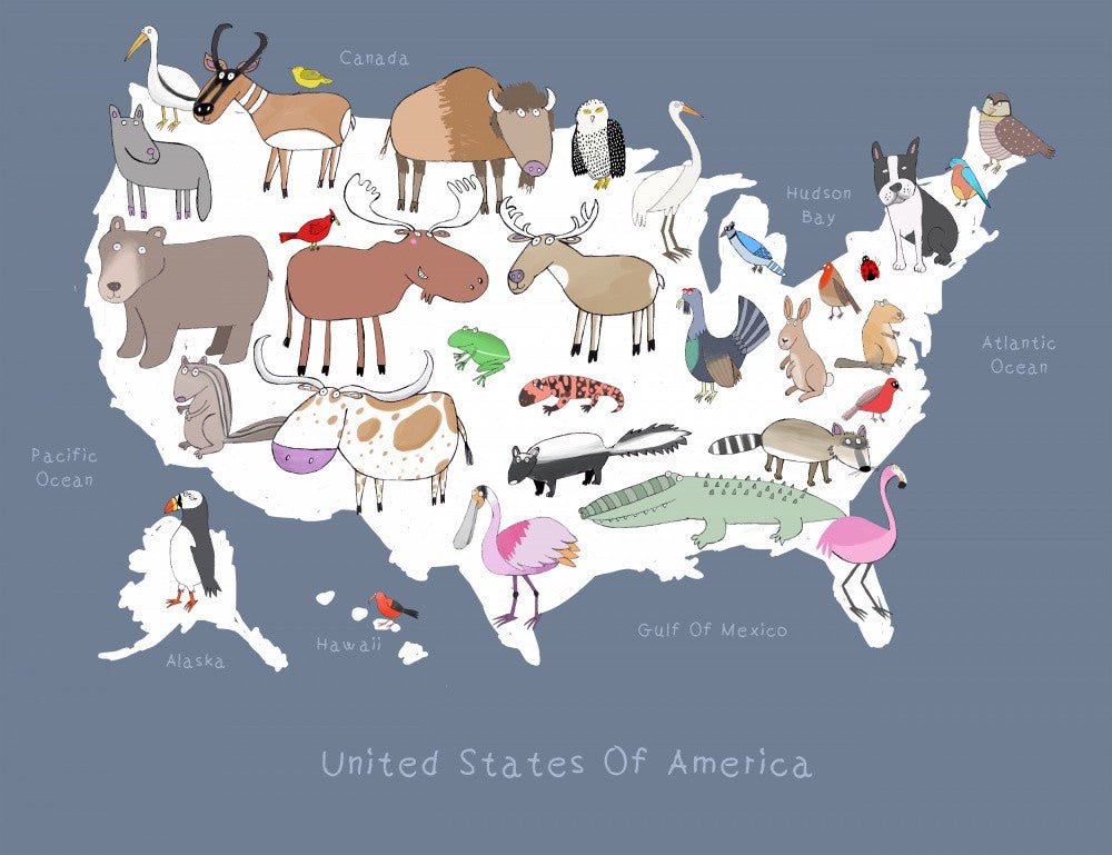 United States Of America Dark Grey &amp; White by Artist Carla Daly