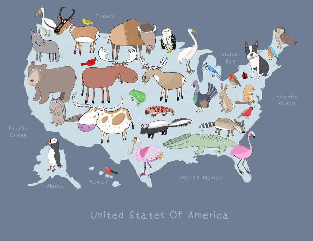 United States of America Dark Grey with Cute Animals by Artist Carla Daly