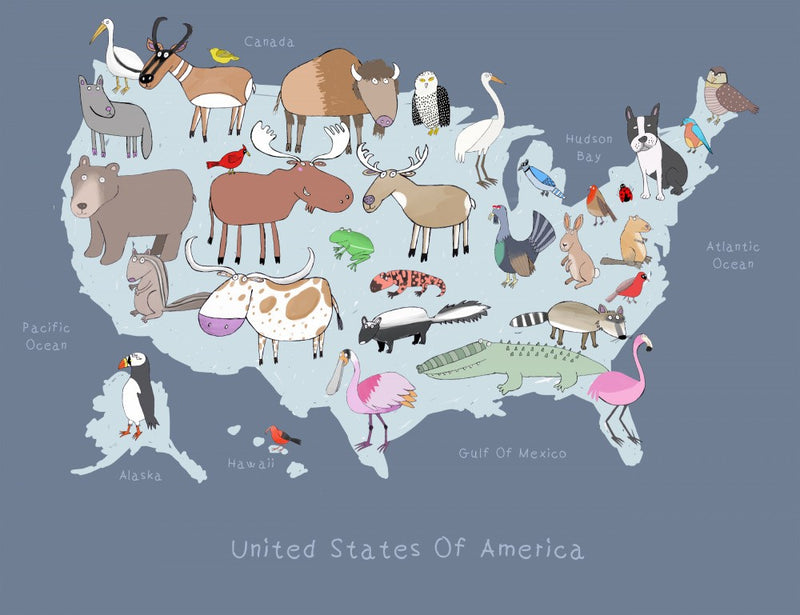 United States of America Dark Grey with Cute Animals by Artist Carla Daly