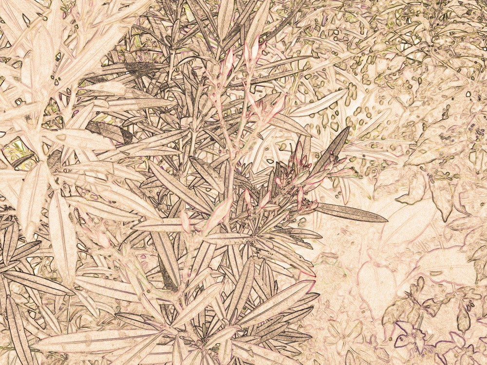 Leafy Tranquility