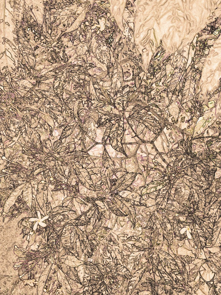 Feuilles Murmurantes