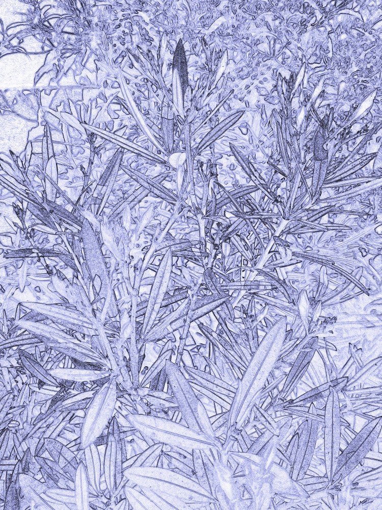 Azure Foliage Dream
