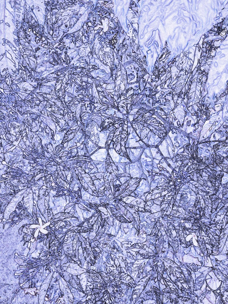 Azurblauer Blättertanz