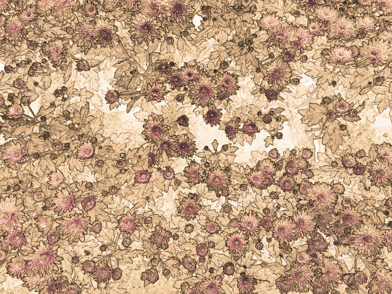 Petal Symphony