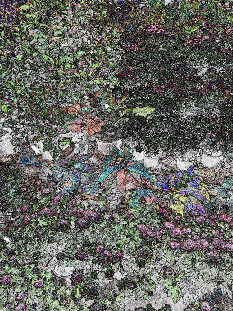 Whimsical Garden