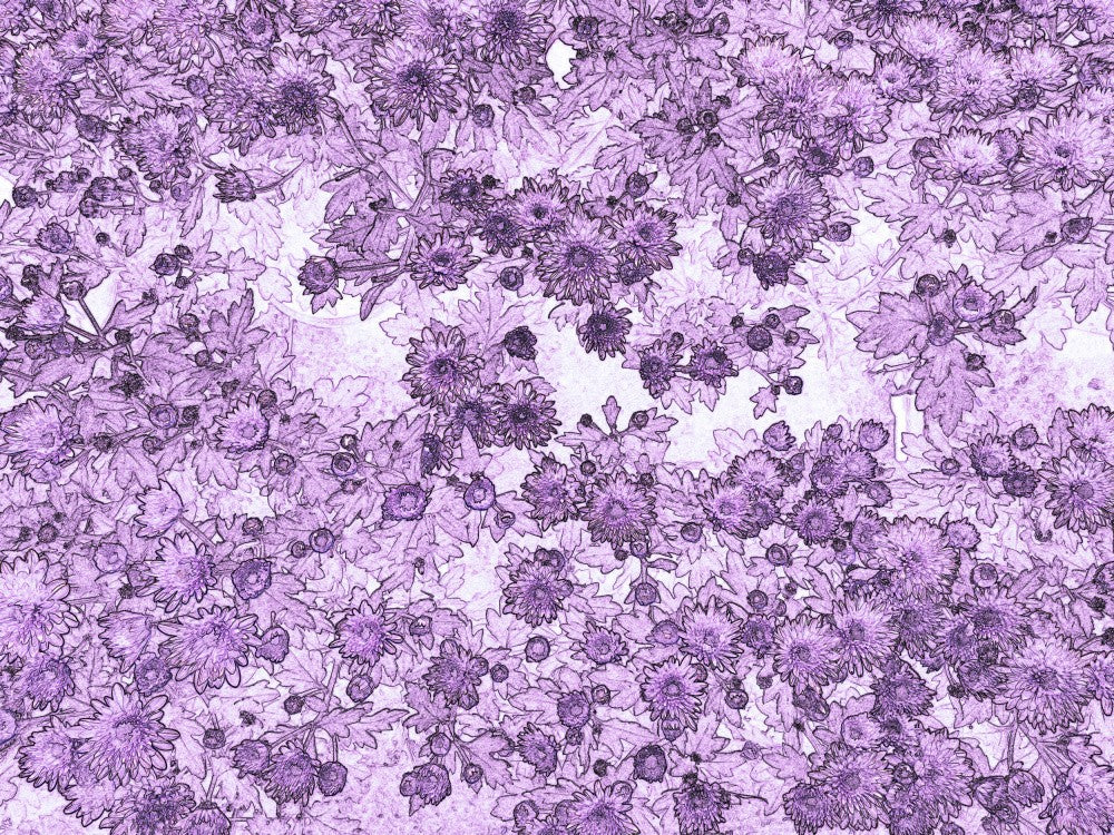 Lavender Bloomscape