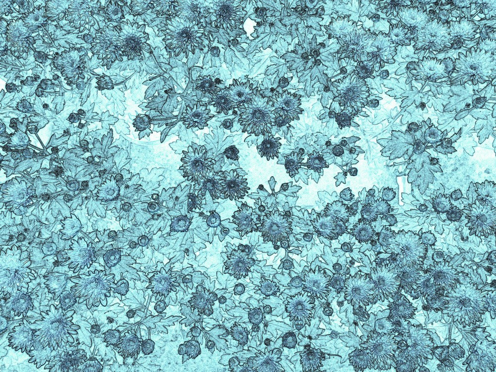 Floral Frost Symphony