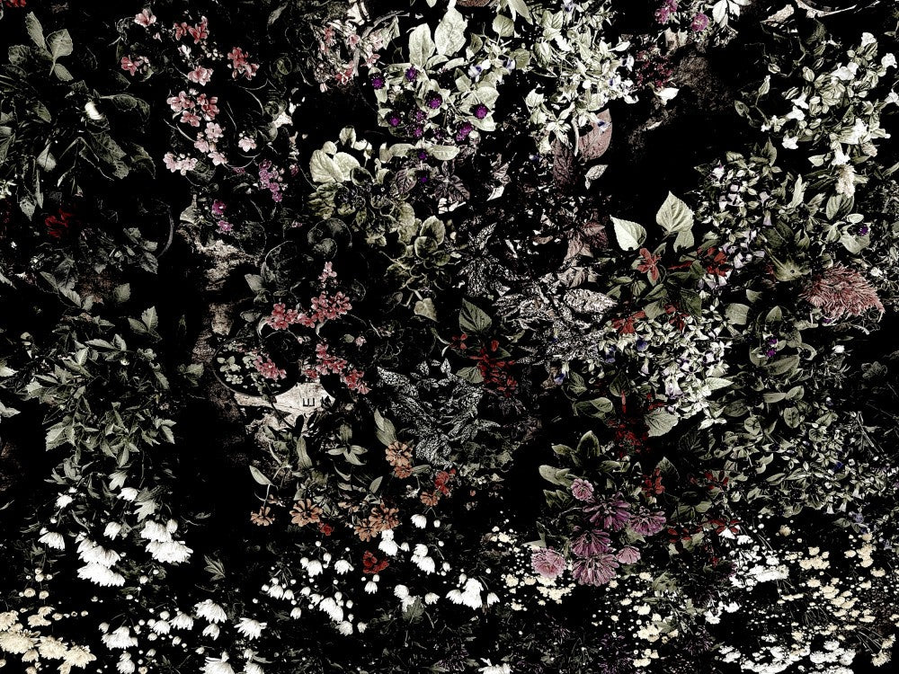 Mitternachtsblüte