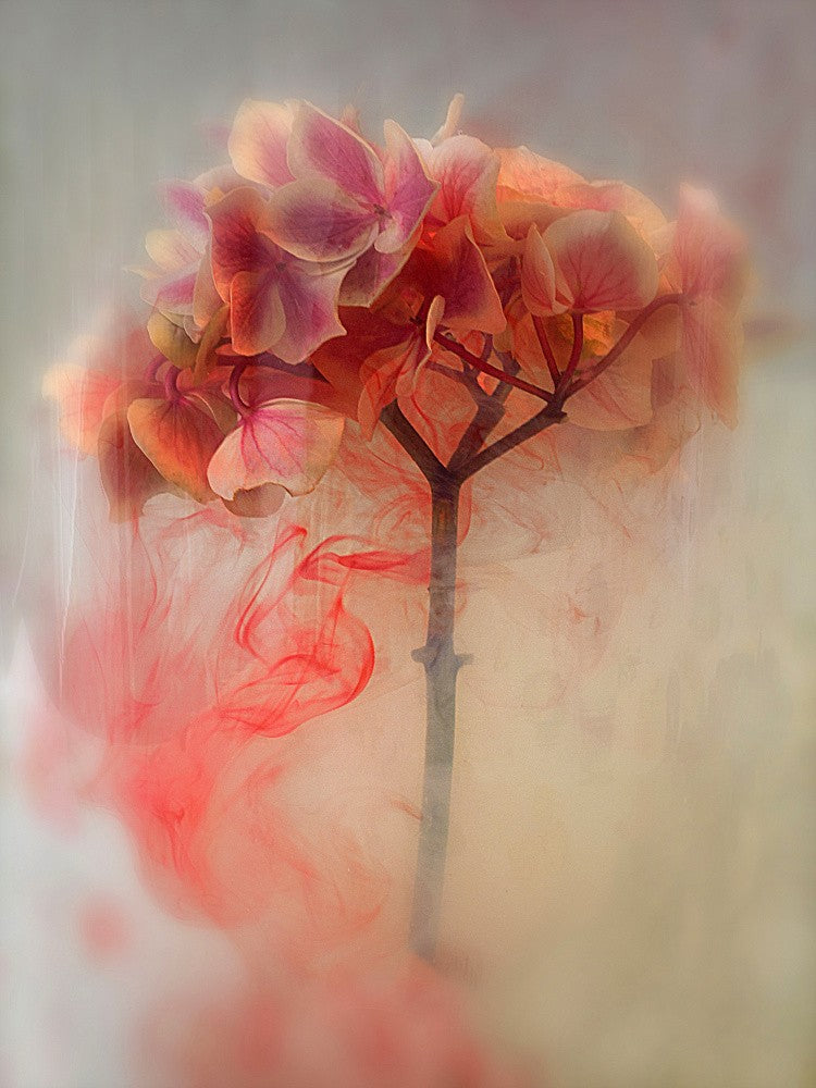 Colors in the water (4)