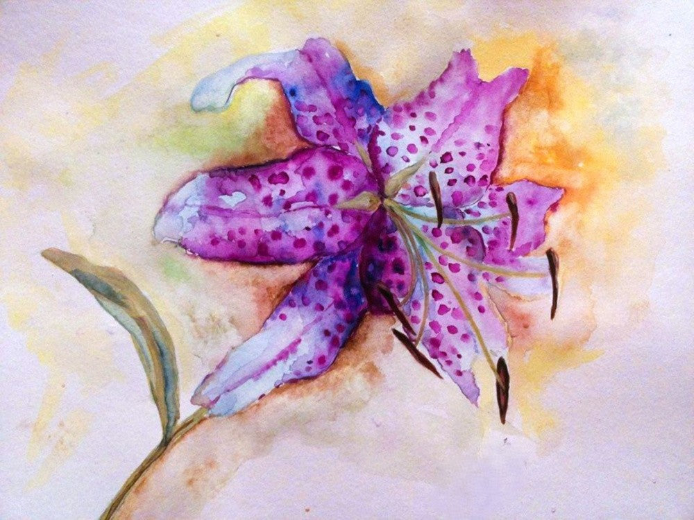 PURPLE LILY