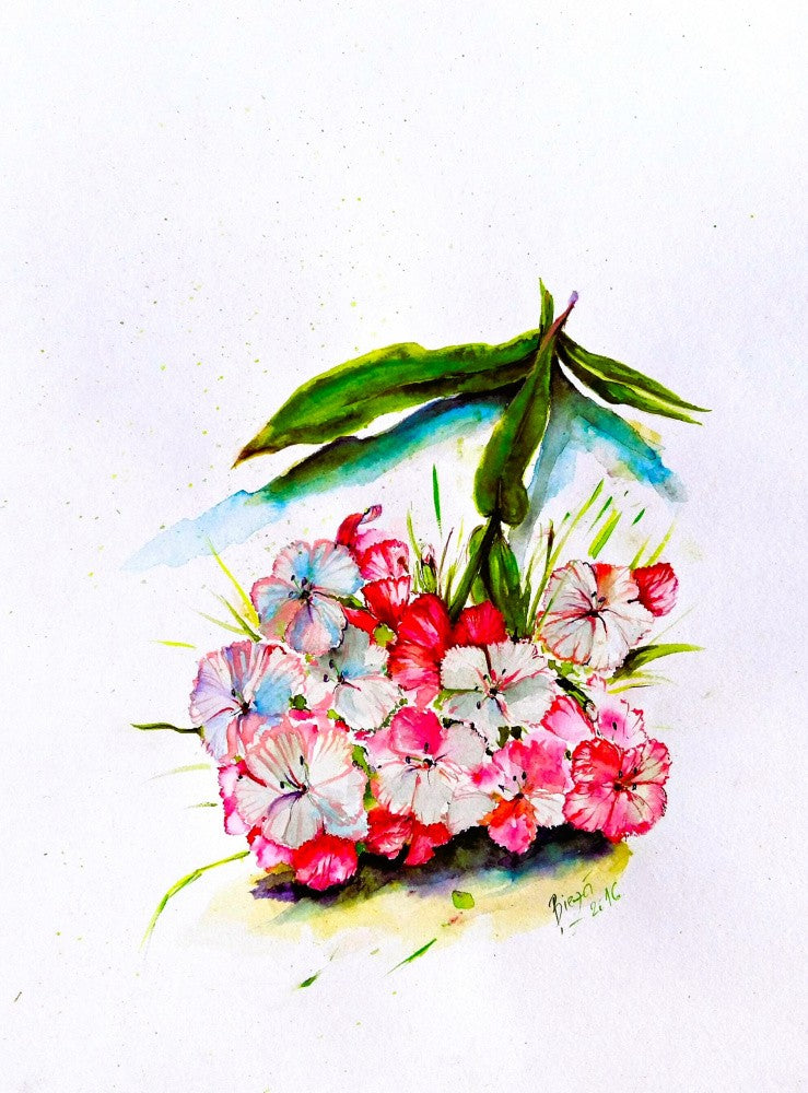 Summer flower