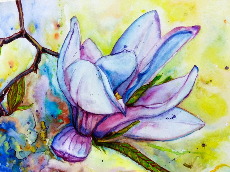Lotus