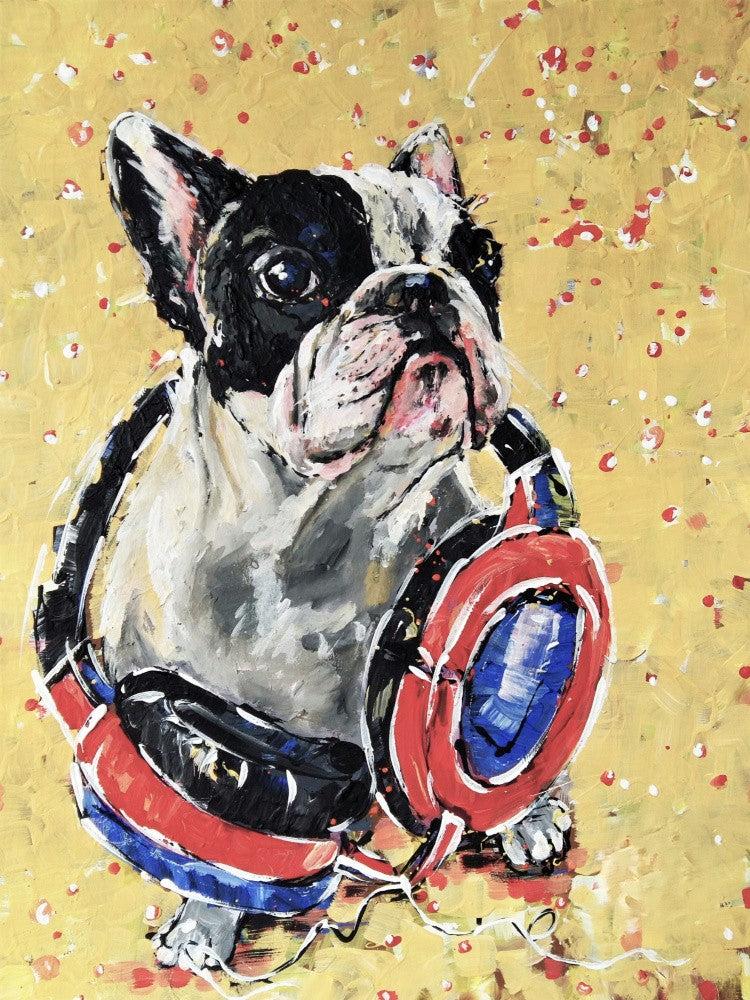 French bulldog