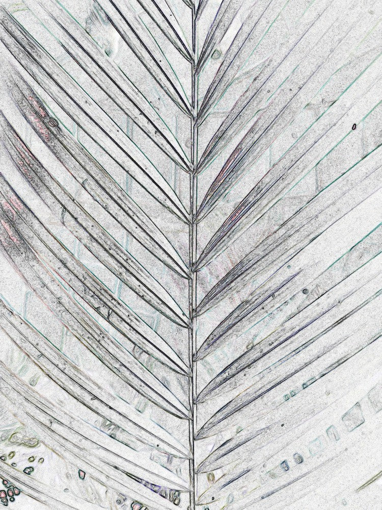 Frond Whisper